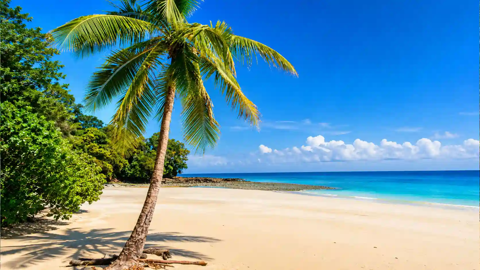 ts-isla-contadora-10